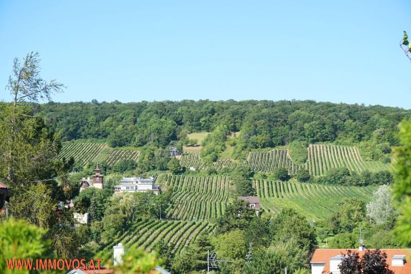 Panorama Ausblick über die Weingärten