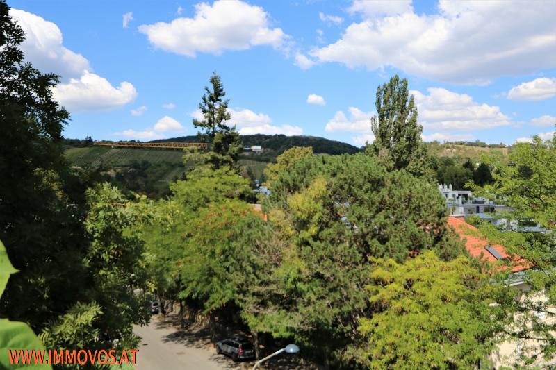 view from the roof top terrace