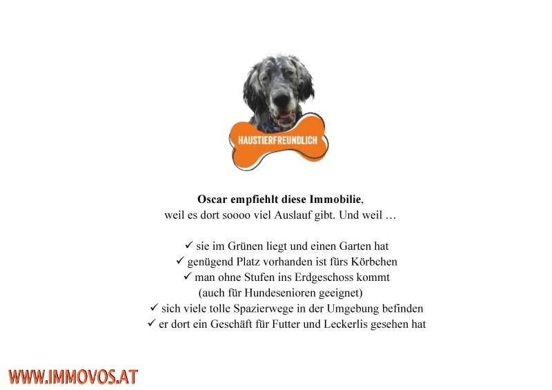 Checkliste Oscar_32671 (3).jpg