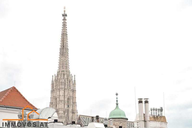 Blick zum Dom