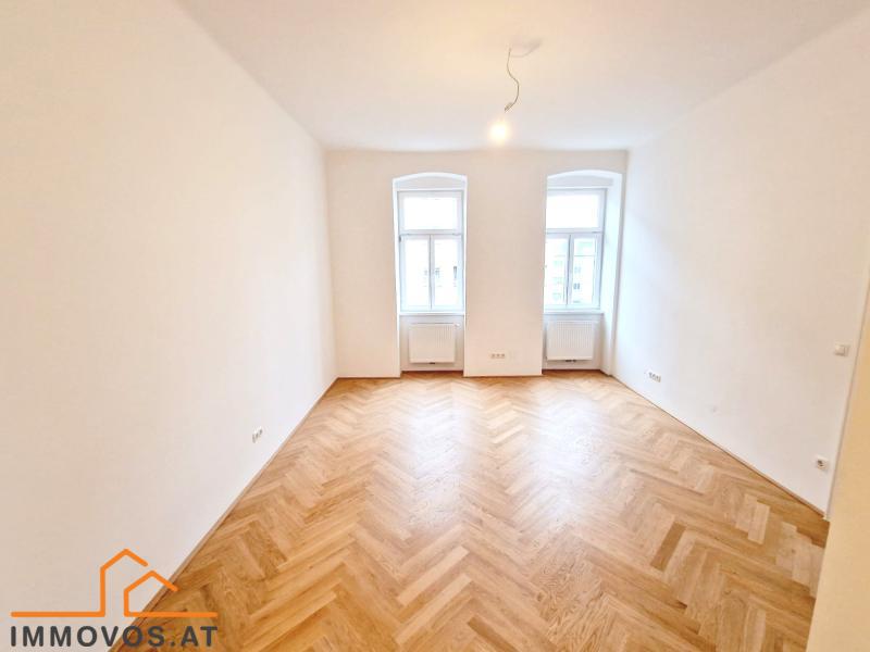 7neu.jpg