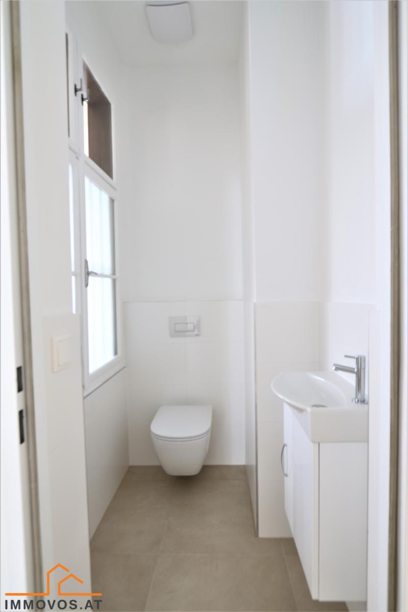 toilet with basin