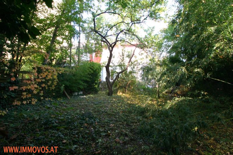 01 Blick von der hinteren Grundstücksgrenze