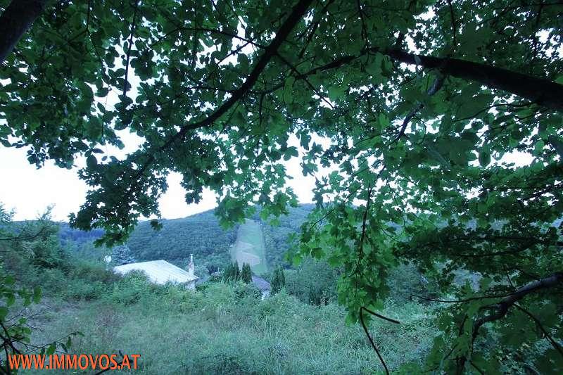 Foto1.jpg