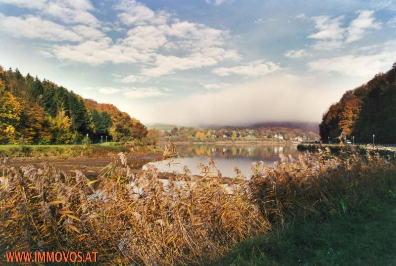 1 Wienerwaldsee
