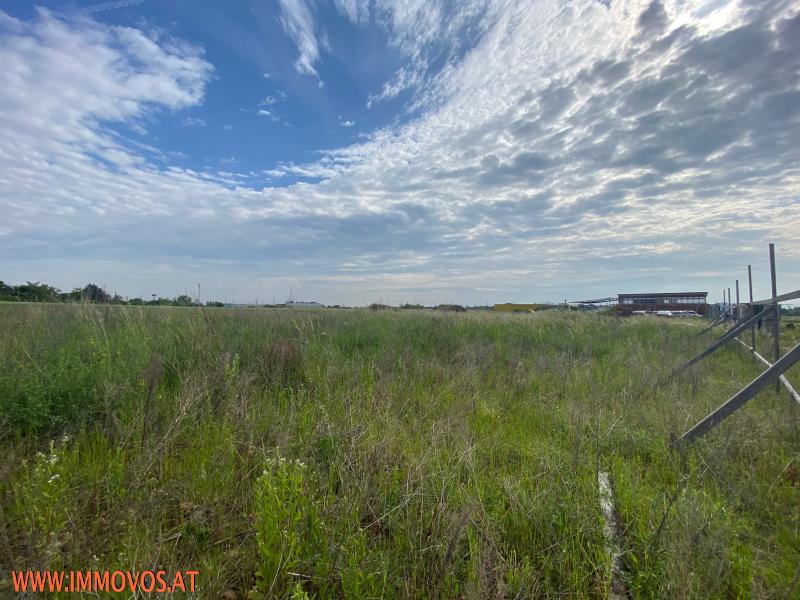 ***GEWERBEBAUGRUNDST&#220;CK im IZ HAGENBRUNN*** /  / 2201 Hagenbrunn / Bild 3