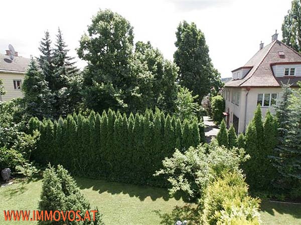 1 Aussicht