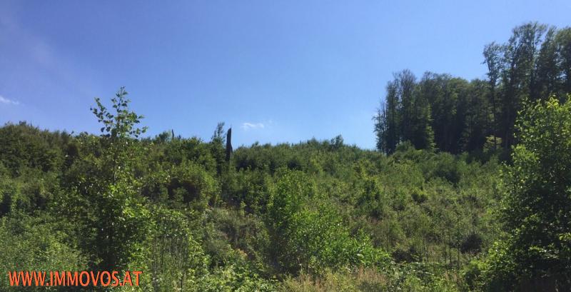  BAUBEWILLIGT - SONNIGE GRUNDST&#220;CKE IN WEIDLINGBACH AUCH TEILBAR! /  / 3400 Weidlingbach / Bild 2