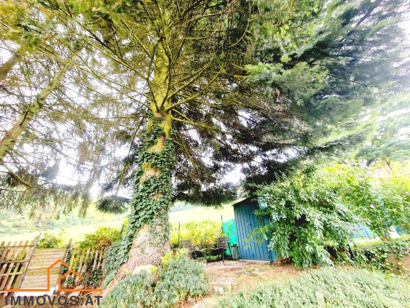 REIHENHAUS MIT KELLER UND GARTEN IN KLOSTERNEUBURG/KIERLING /  / 3400 Kierling / Bild 16