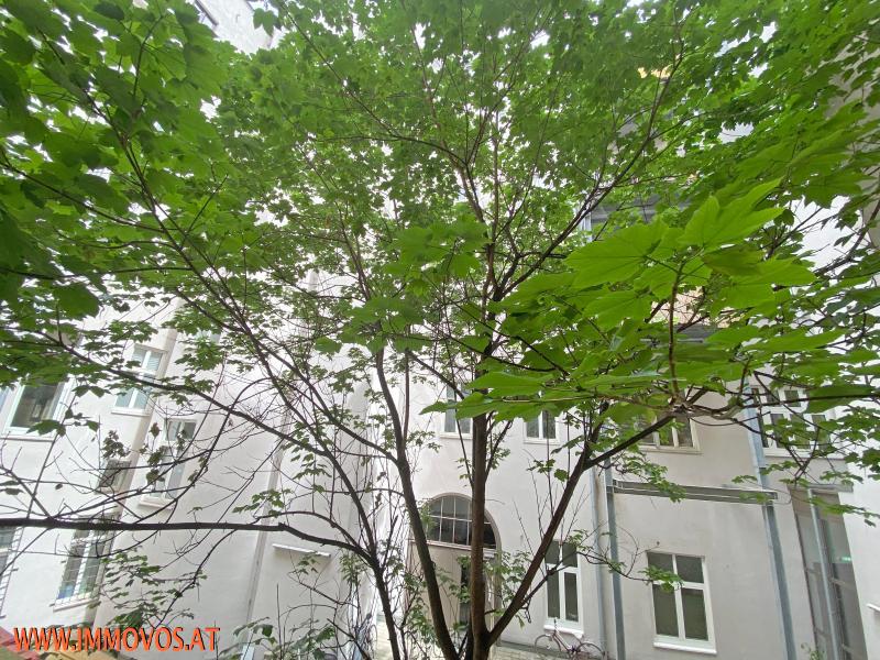 --> FAMILIENWOHNUNG unsaniert KARMELITER-VOLKERT-VIERTEL  /  / 1020 Wien 2.,Leopoldstadt / Bild 1