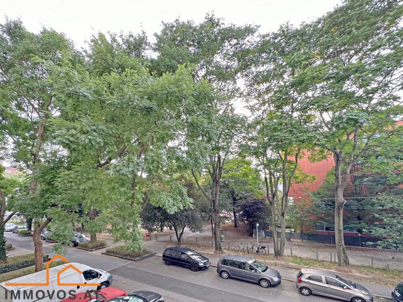 ALTBAUWOHNUNG  in WOHNSTRASSE mit PARK vor der HAUST&#220;RE /  / 1120 Wien 12.,Meidling / Bild 9