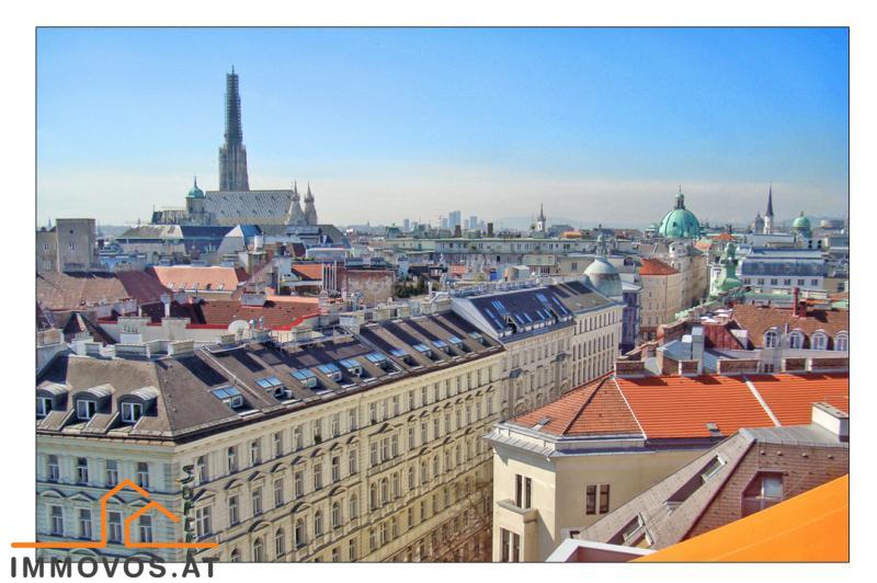 9a Blick von Gemeinschaftsterrasse (Süden).jpeg