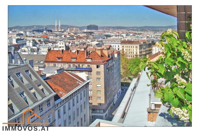 9c Blick von Gemeinschaftsterrasse (Norden).jpeg