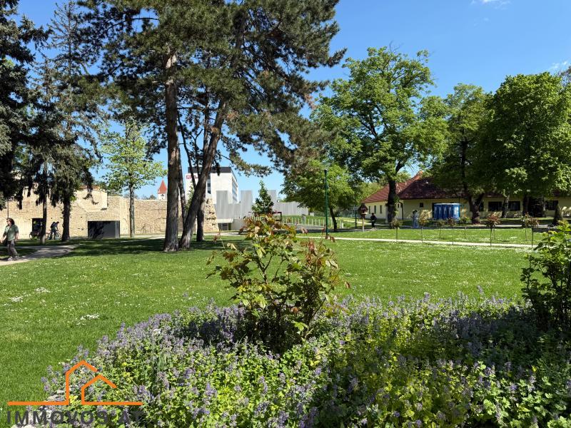 Stadtpark .jpeg