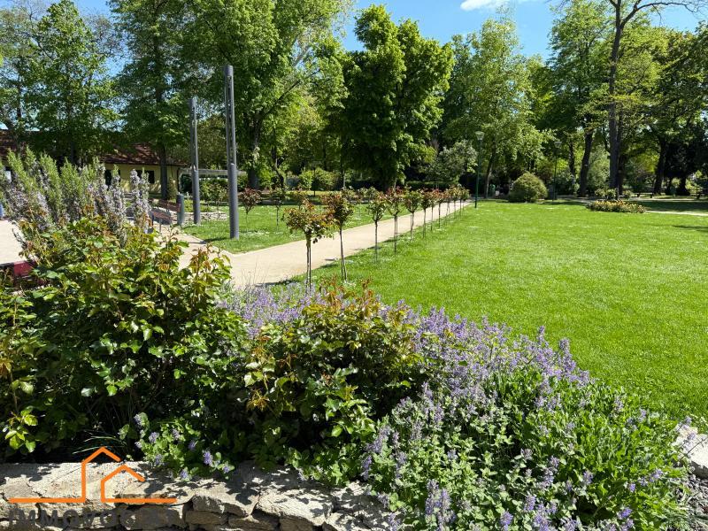 Stadtpark .jpeg 