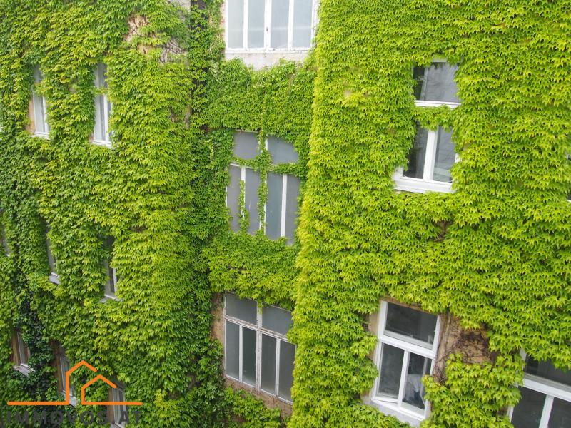 Aussicht Hof.jpg