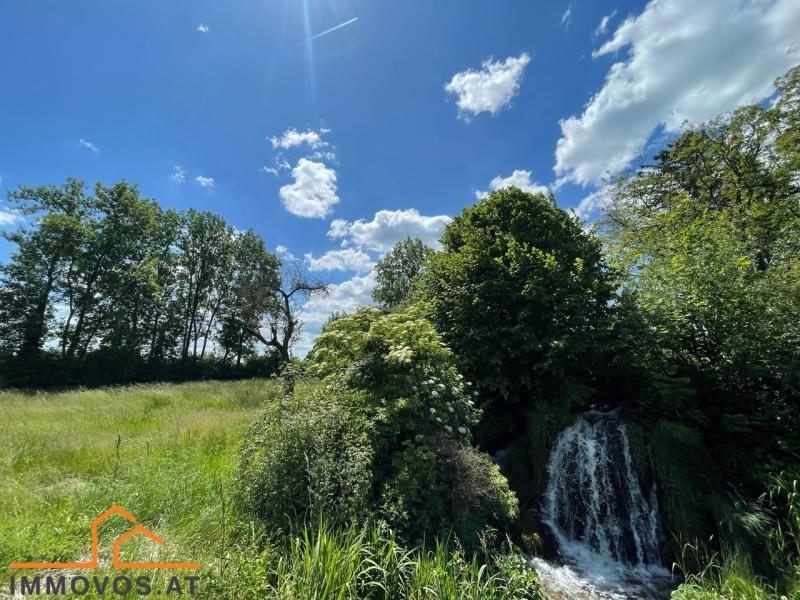 EINZIGARTIGE IMMOBILIE MIT BACH UND WASSERFALL - GRUNDST&#220;CK MIT BESTANDSHAUS - POTENZIAL F&#220;R WOHNEN, ARBEITEN UND ENTSPANNEN /  / 2722 Winzendorf / Bild 3