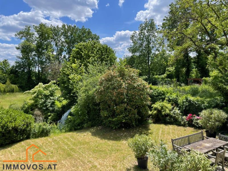 EINZIGARTIGE IMMOBILIE MIT BACH UND WASSERFALL - GRUNDST&#220;CK MIT BESTANDSHAUS - POTENZIAL F&#220;R WOHNEN, ARBEITEN UND ENTSPANNEN /  / 2722 Winzendorf / Bild 4