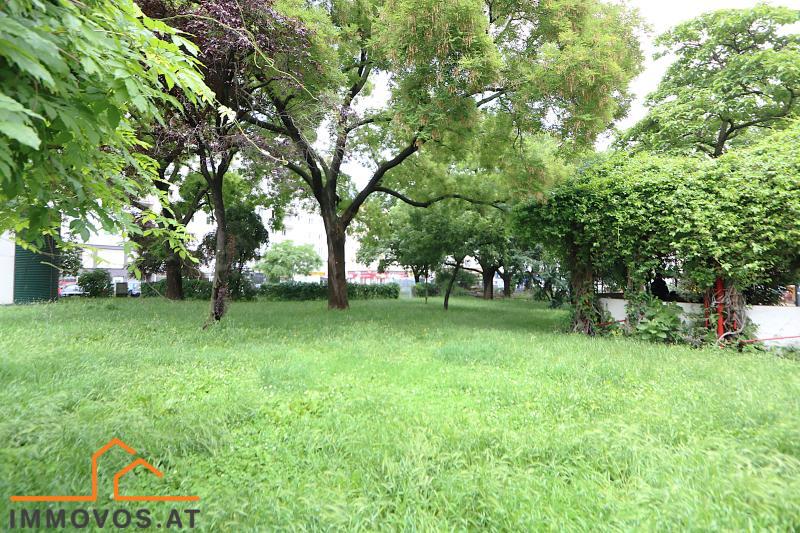 park area at Kardinal Nagl square