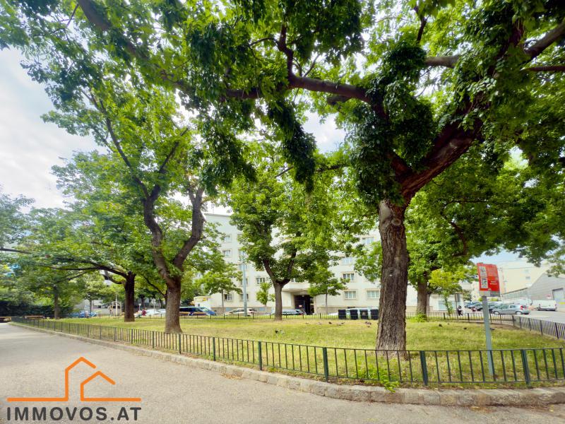 19 park.jpg
