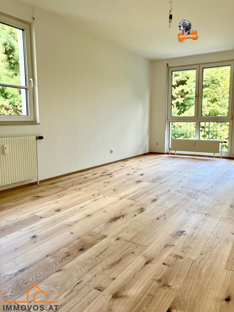 Wohnraum mit Blick zur Freifläche und Garten