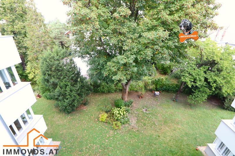 Blick in den Garten vom 3. Stock