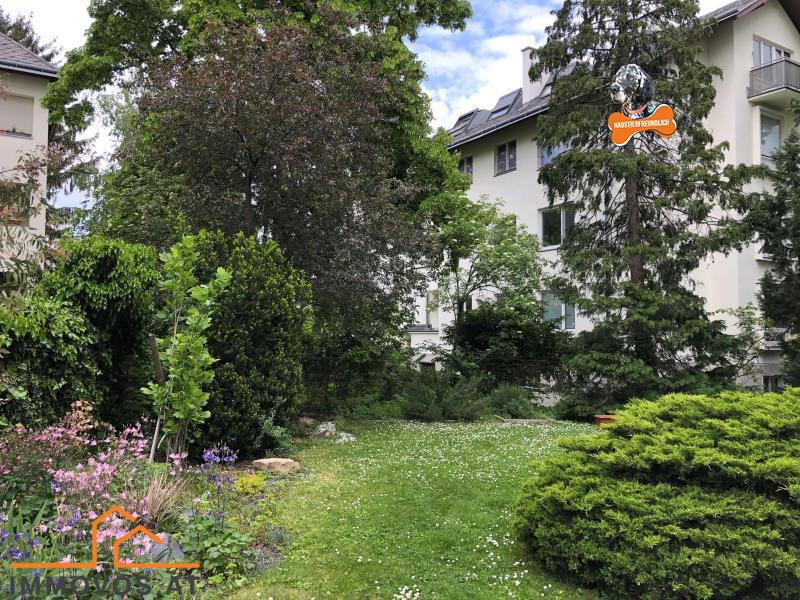 Eindrücke vom Sommer