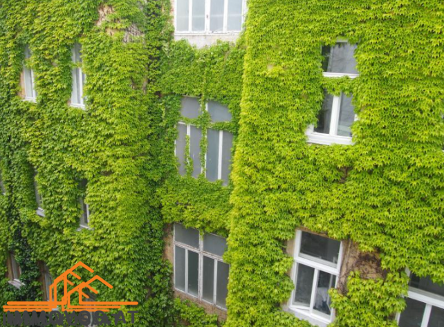 Screenshot 2025-10-17 10.38.19.png Screenshot 2025-10-17 10.38.19.png