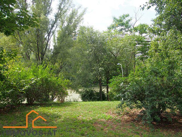 Umgebung Sommer 2025.jpg Umgebung Sommer 2025.jpg