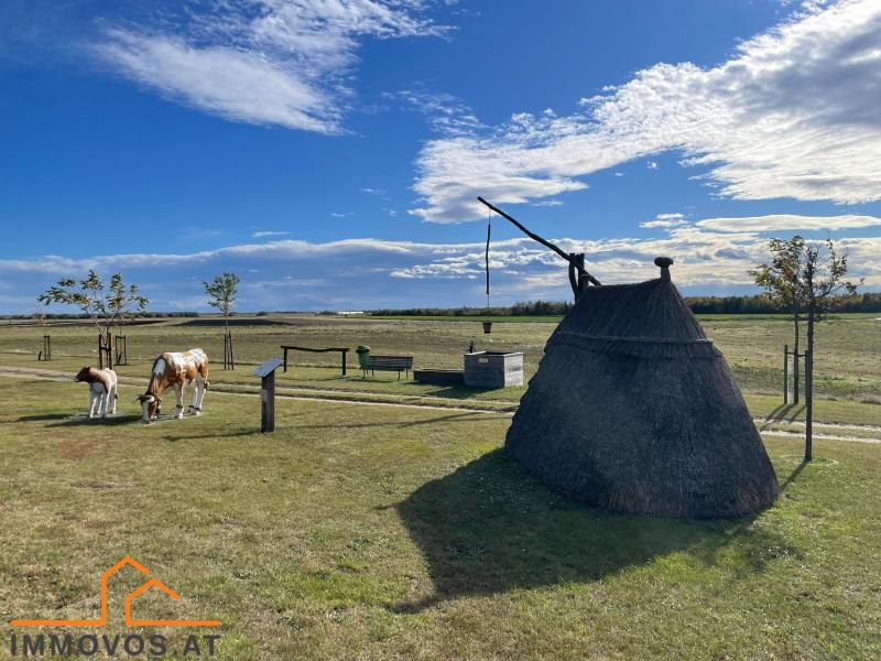 PHOTO-2025-10-24-15-23-41 (1).jpg PHOTO-2025-10-24-15-23-41 (1).jpg