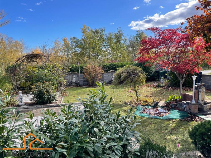 WOHLFÜHLOASE IM SEEWINKEL! ST.ANDÄ AM ZICKSEE! /  / 7161 Sankt Andrä am Zicksee / Bild 6