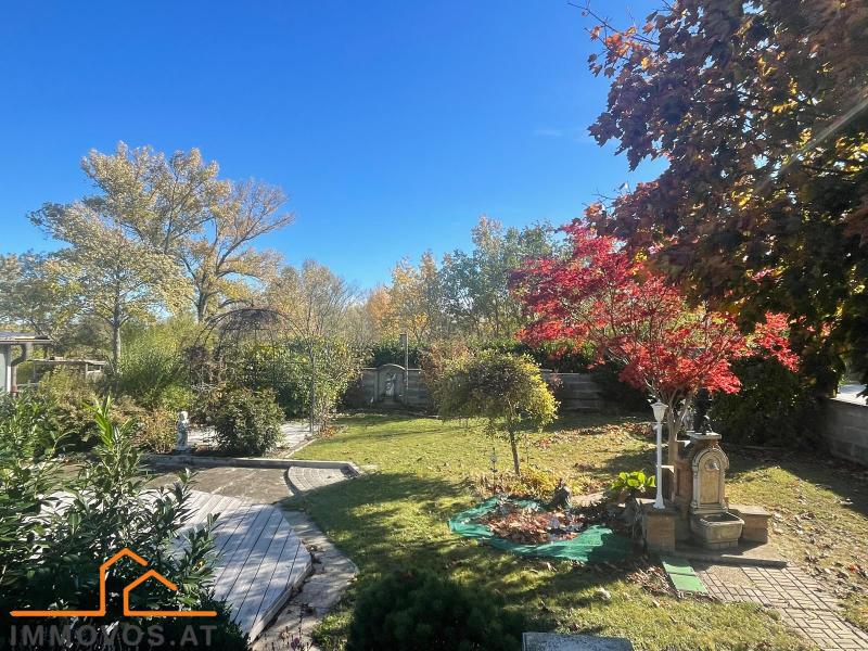 WOHLFÜHLOASE IM SEEWINKEL! ST.ANDÄ AM ZICKSEE! /  / 7161 Sankt Andrä am Zicksee / Bild 7