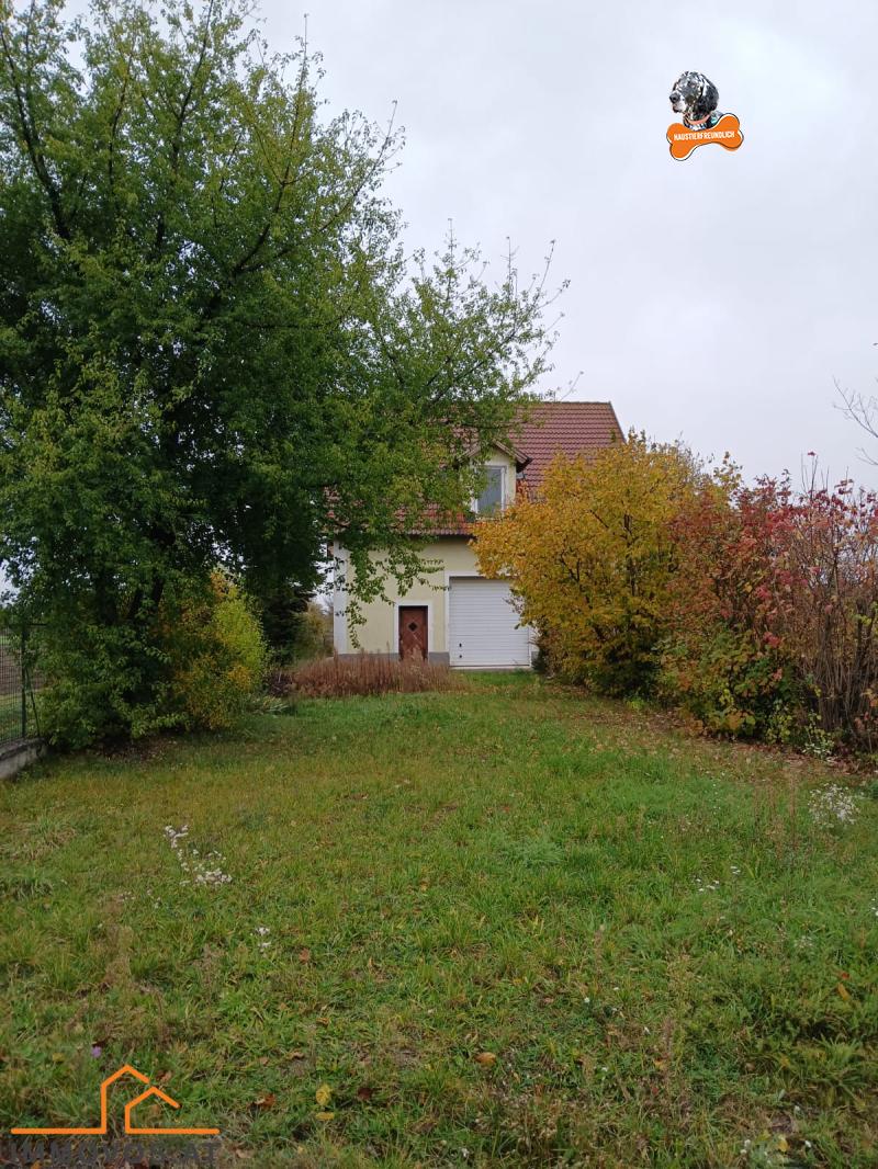 WhatsApp Image 2025-10-27 at 13.40.03.jpeg WhatsApp Image 2025-10-27 at 13.40.03.jpeg