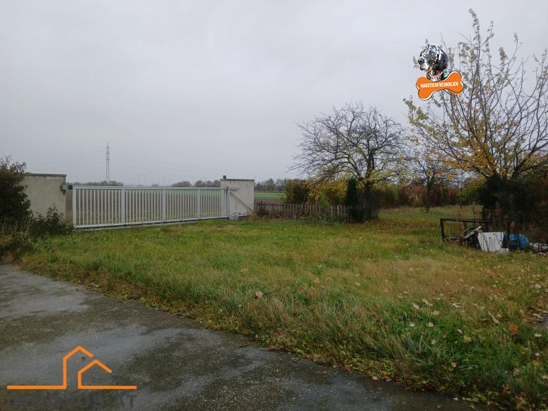 WhatsApp Image 2025-10-27 at 13.40.02.jpeg WhatsApp Image 2025-10-27 at 13.40.02.jpeg