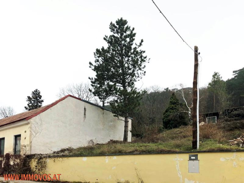 BAUGRUNDSTÜCK mit eigenem WALD in KALKSBURG /  / 1230 Wien 23.,Liesing / Bild 2