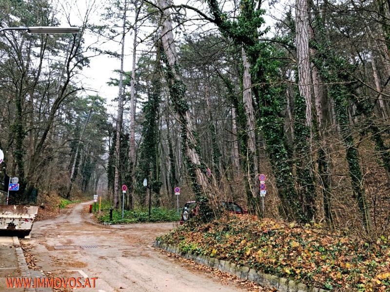 BAUGRUNDSTÜCK mit eigenem WALD in KALKSBURG /  / 1230 Wien 23.,Liesing / Bild 3
