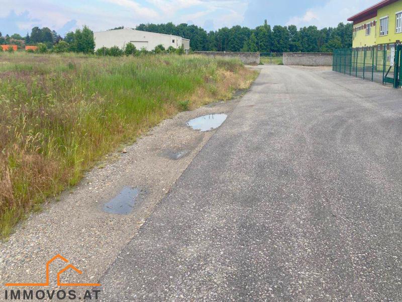 GEWERBEBAUGRUNDSTÜCK in LEOPOLDSDORF im MARCHFELD /  / 2285 Leopoldsdorf im Marchfelde / Bild 1