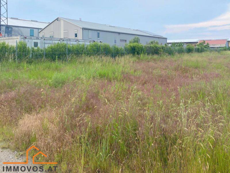 GEWERBEBAUGRUNDSTÜCK in LEOPOLDSDORF im MARCHFELD /  / 2285 Leopoldsdorf im Marchfelde / Bild 2