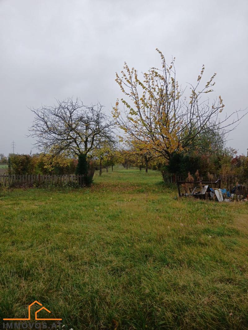 TOR  ZUM GL&#220;CK - RIESEN GRUNDST&#220;CK MIT GEB&#196;UDE UND VIELEN M&#214;GLICHKEITEN /  / 1220 Wien 22.,Donaustadt / Bild 1