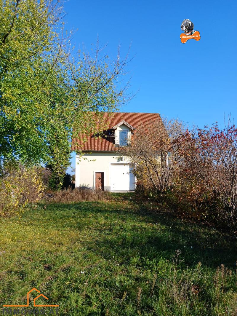 WhatsApp Image 2025-11-08 at 12.08.57.jpeg