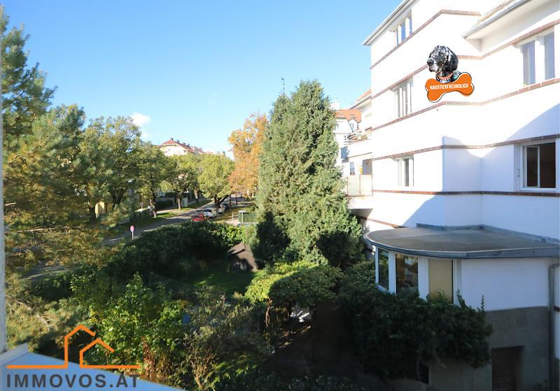 Blick aus dem Küchen-Fenster