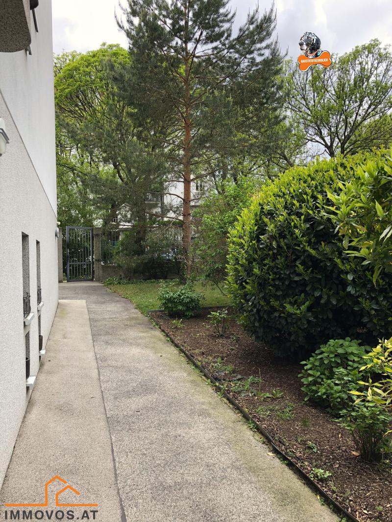 sanft ansteigende Rampenzugang - ohne Stufen