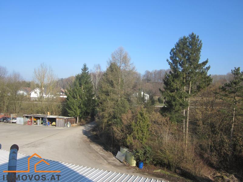 INDUSTRIEGRUNDST&#220;CK N&#196;HE WELS /  / 4600 Wels / Bild 1