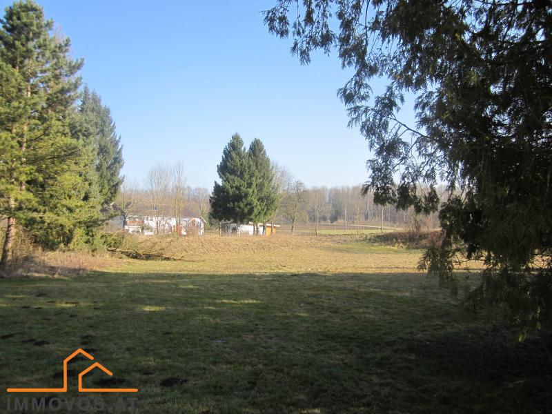 INDUSTRIEGRUNDST&#220;CK N&#196;HE WELS /  / 4600 Wels / Bild 2