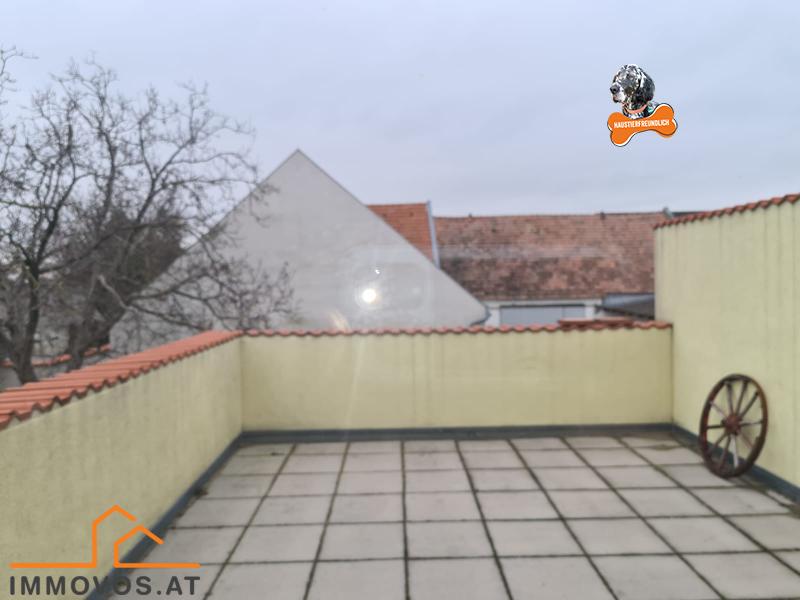 IDYLLISCH WOHNEN UND ARBEITEN AM STADTRAND - FAST ALLES IST HIER MÖGLICH /  / 2301&nbsp;Probstdorf / Bild 4