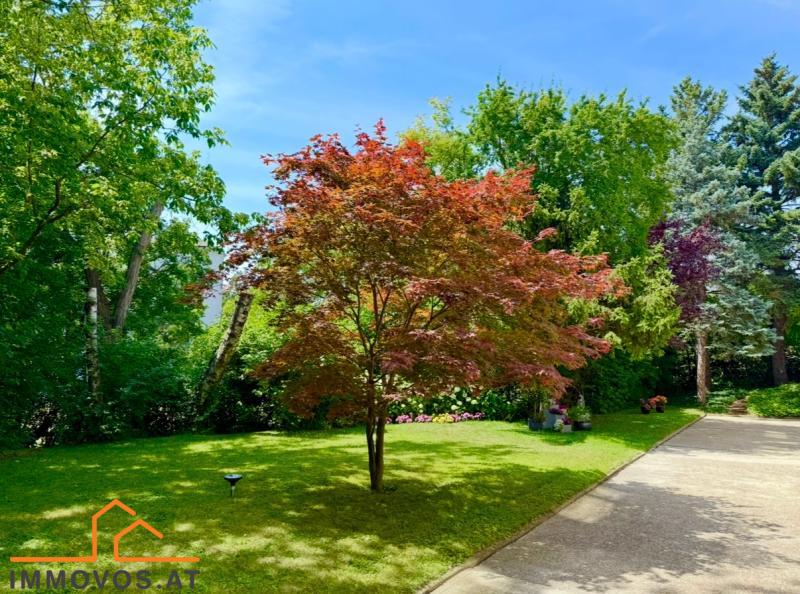 SIEVERINGER BESTLAGE - MEHR RAUM ZUM LEBEN: GROßZÜGIGE WOHNUNG MIT LOGGIA & 2 GARAGENPLÄTZEN /  / 1190&nbsp;Wien 19.,D�bling / Bild 7