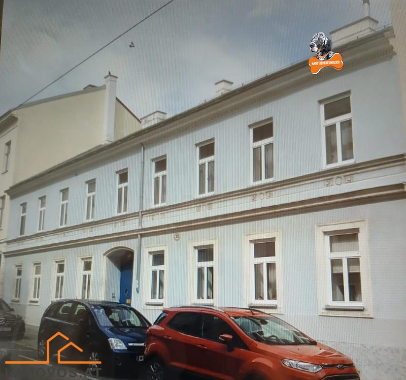 WhatsApp Image 2026-02-11 at 12.42.27.jpeg