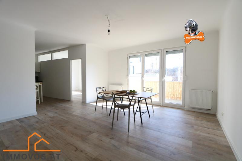 Küche und Wohnbereich sind verbunden