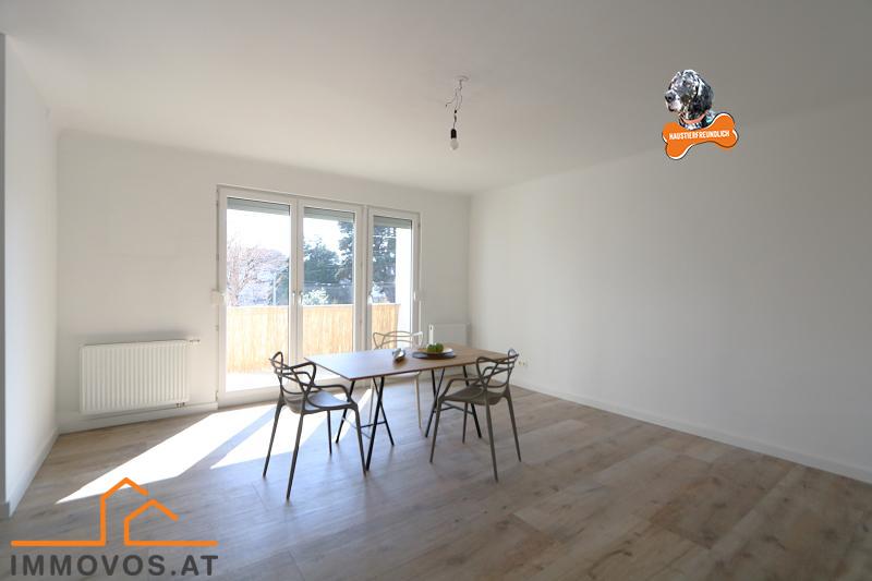 großzügiger Wohnbereich