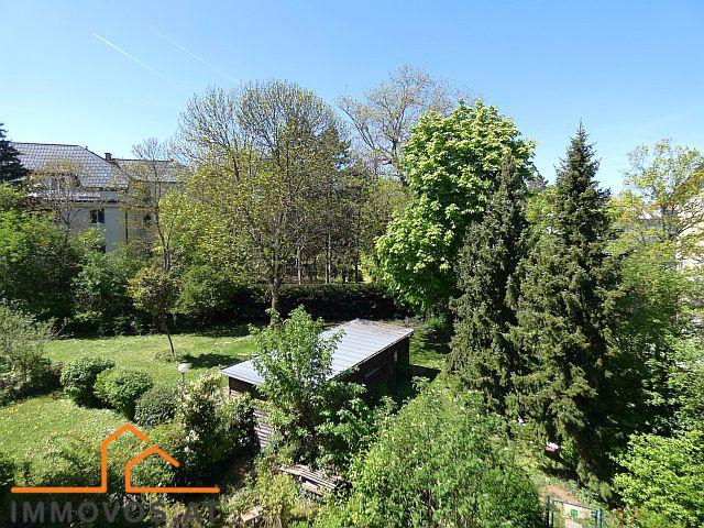 Blick Garten.jpg